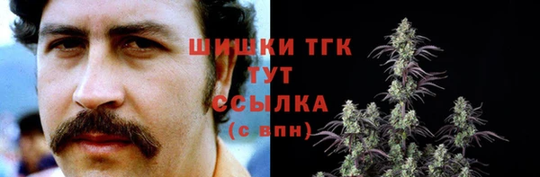 ГАЛЛЮЦИНОГЕННЫЕ ГРИБЫ Богородск