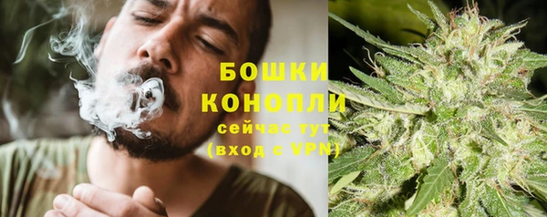 ГАЛЛЮЦИНОГЕННЫЕ ГРИБЫ Богородск