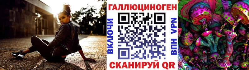 Псилоцибиновые грибы Psilocybine cubensis  Тверь 